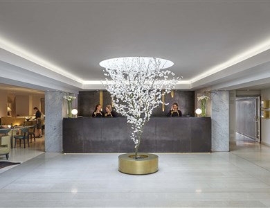 Hotel Mandarin Oriental *****