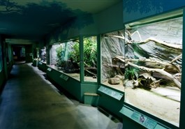 Prager Zoo