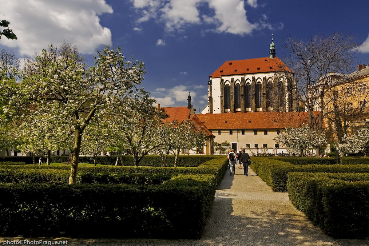 A garden with bushes surrounding the trees, and a church in the background
